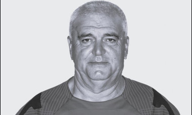 vasile manaila