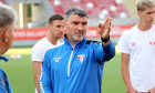 mihalcea
