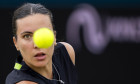 Libema Open Semifinals, Den - 14 Jun 2025