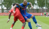 alibec fcsb