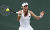 Tennis: Wimbledon Championships