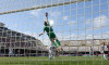 US Salernitana - Cosenza Calcio, Italian Serie BKT, 25 April 2025, Stadio Arechi, Salerno, Campania, Italy - 25 Apr 2025