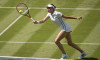 Tennis: Wimbledon Championships