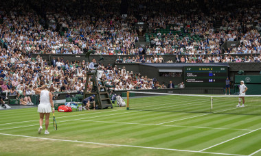 Tennis: Wimbledon Championships