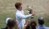 Day Fourteen: The Championships - Wimbledon 2025