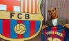 lamine