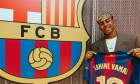lamine