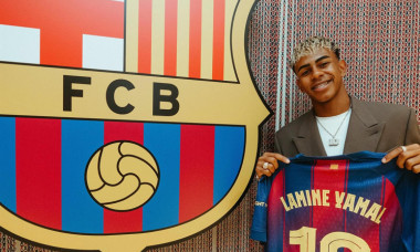 lamine