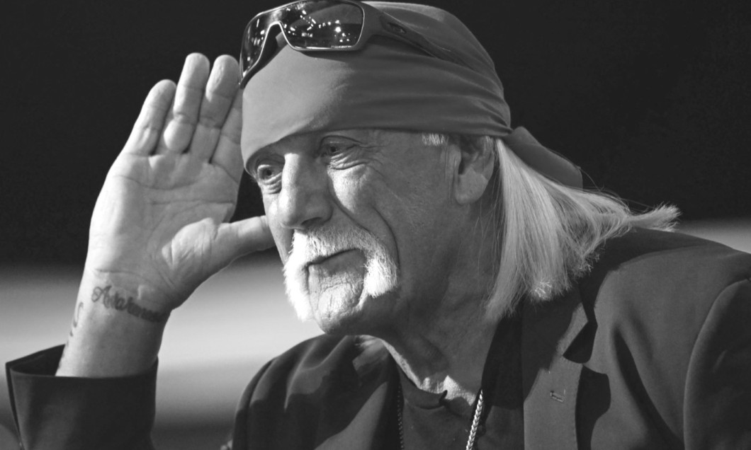 hulk hogan