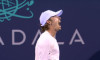deminaur