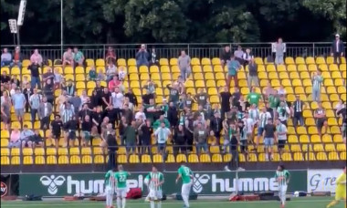 zalgiris fani (19)