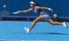 Cincinnati Open Tennis
