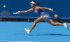 Cincinnati Open Tennis