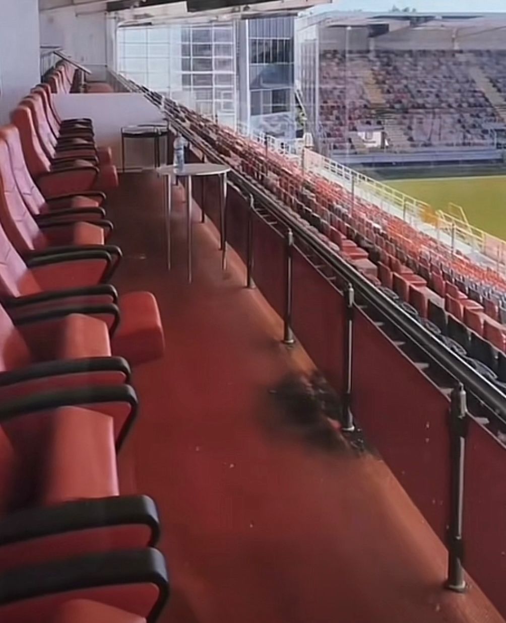 Cum arată stadionul din Giurgiu, la 9 ani de când Astra a devenit campioană în România