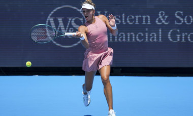 Tennis: Cincinnati Open