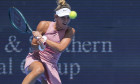 Tennis: Cincinnati Open