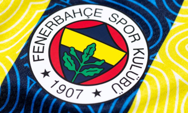 Close up of Fenerbahçe S.K kit