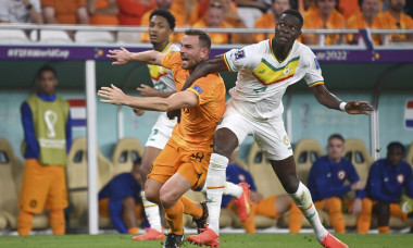 FIFA World Cup 2022 / Senegal - Netherlands 0-2.