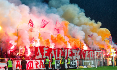 fani-steaua-rosie