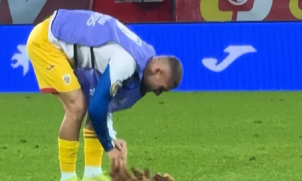 Screenshot 2025-10-10 103200