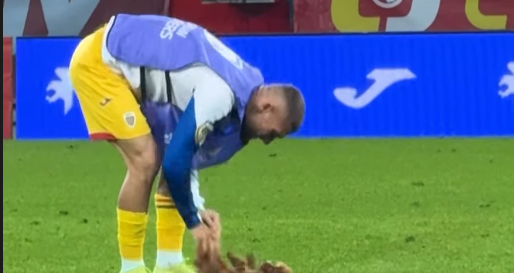 Imagini inedite! Ce a făcut Daniel Bîrligea, chiar pe gazon, după România - Moldova 2-1