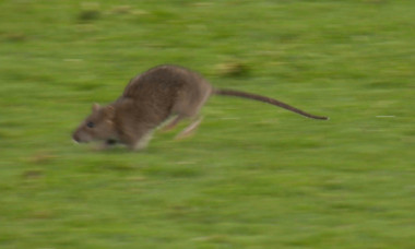 Screenshot 2025-10-14 075112