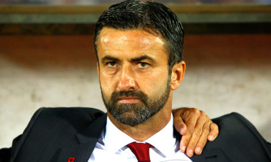 panucci