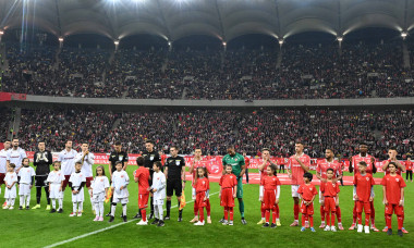 dinamo
