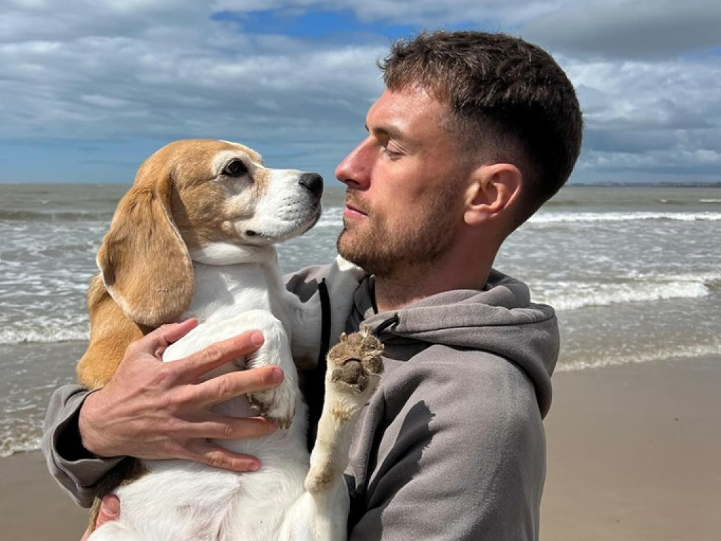 "Nu cred că îl vom găsi vreodată!" 20.000 de euro pentru cine îl localizează pe beagle-ul Halo