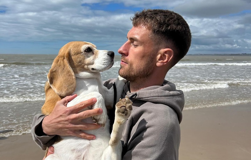 "Nu cred că îl vom găsi vreodată!" 20.000 de euro pentru cine îl localizează pe beagle-ul Halo