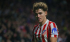 Madrid, Spain, November 4, 2025: Atleti player Julián Álvarez (19) during the 2025-26 Champions League League Group Stage Matchday 4 between Atleti and Union SG on November 4, 2025, at the Metropolitano Stadium in Madrid, Spain. Credit: Alberto Brevers /