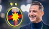 radoi zambeste la stema fcsb