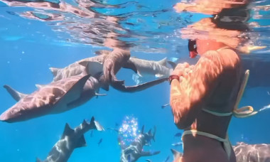 aryna-sabalenka-rechini2