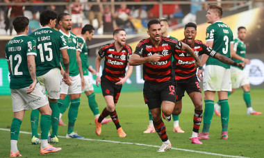 Palmeiras v Flamengo - Final Copa CONMEBOL Libertadores 2025