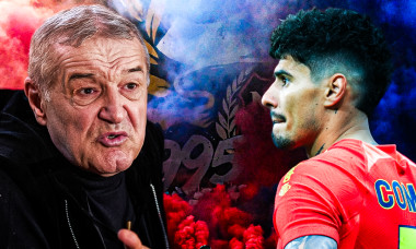 becali, florinel coman, fundal fcsb