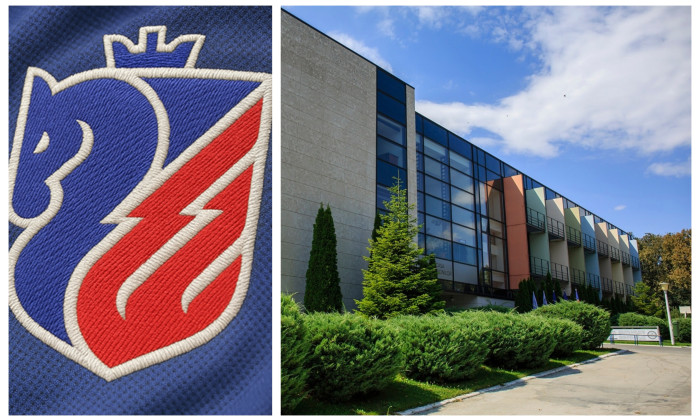 colaj-logo-fc-botosani-mogosoaia