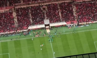 Screenshot 2026-01-19 000134