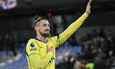 Crystal Palace v Tottenham Hotspur - Premier League