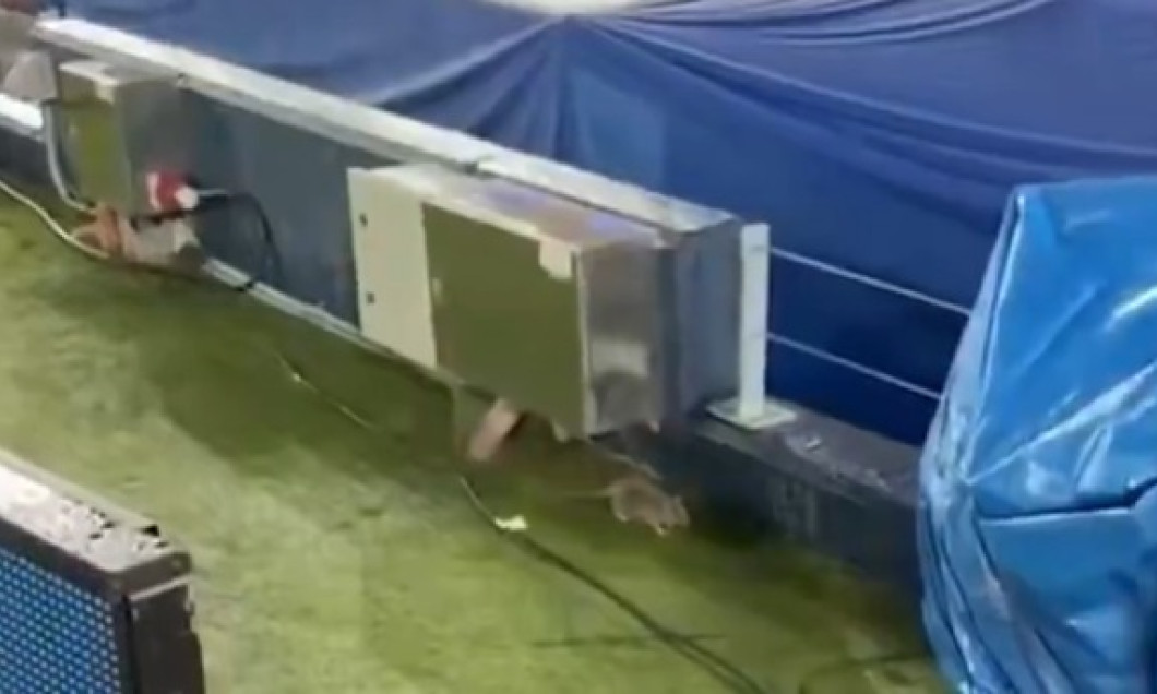 WhatsApp Image 2026-01-28 at 09.46.46 (1)