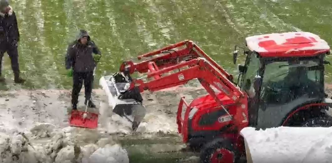 Imagine Stire A apărut tractorul, înainte de Rapid - Dinamo! Cum se prezenta gazonul de la Arena Națională, cu 6 ore înainte start | 2review.ro