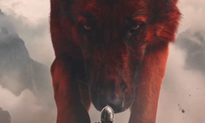 Captură de ecran 2026-02-28 084706