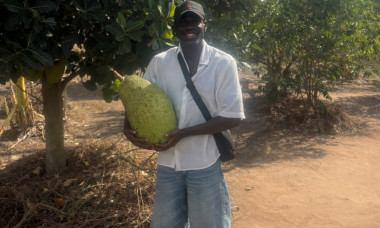 Screenshot 2026-02-28 152149