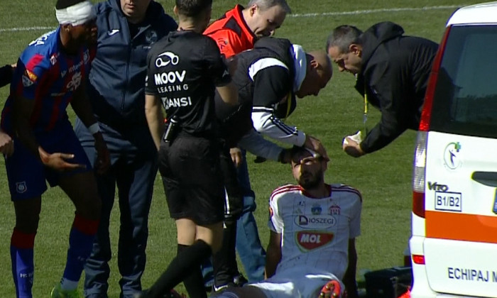 paun accidentat bihor-sepsi