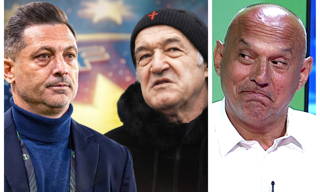 colaj-mirel-radoi-prunea