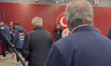 mircea lucescu mihai stoichita