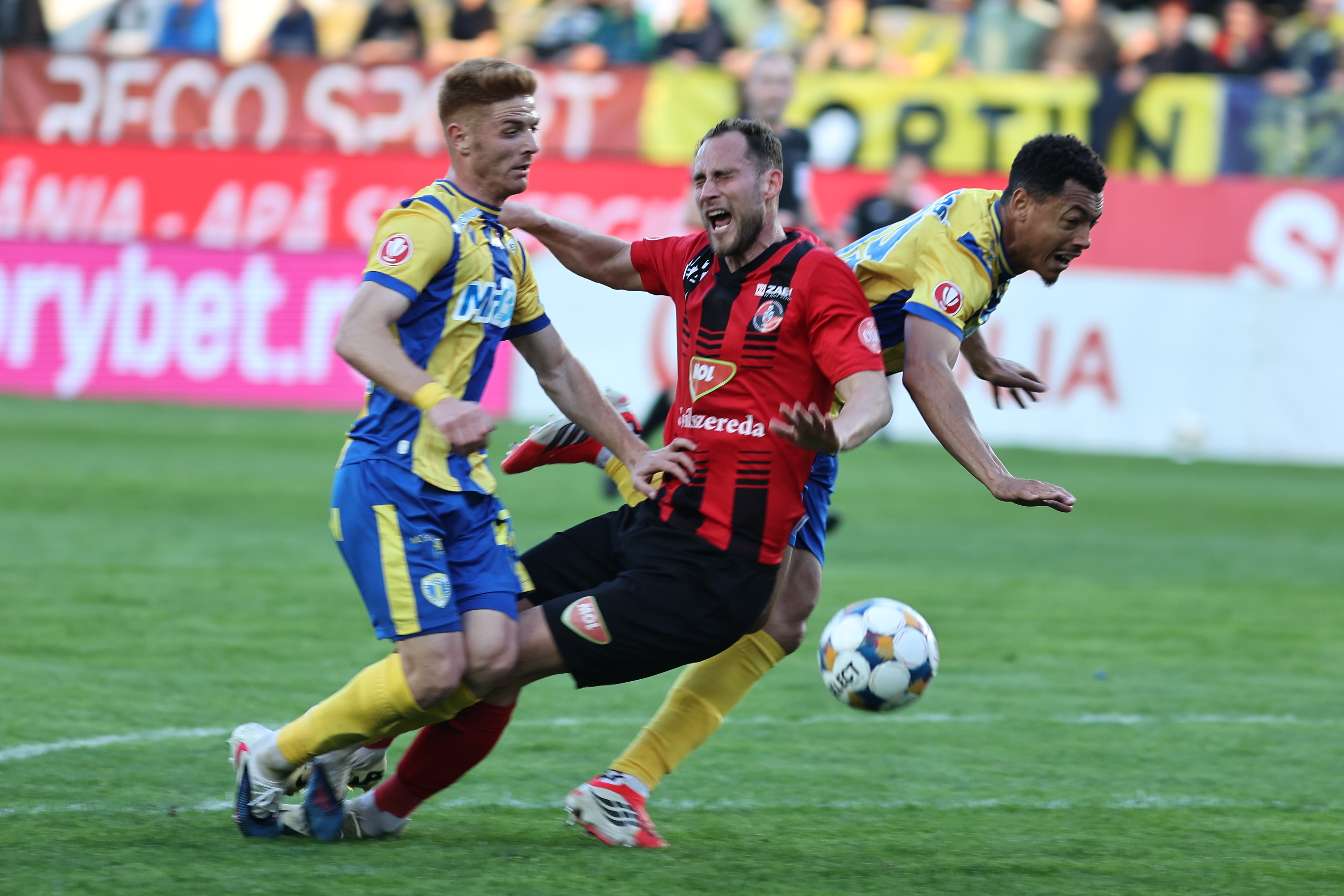 Imagine Stire Cea mai dură reacție, după Petrolul - Csikszereda 2-0: ”La nivelul ăsta nu ai cum, nu poți să emiți pretenții!” | 2review.ro