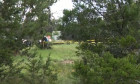accident-avion-sua2