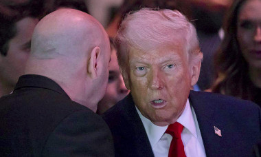 FL: Trump attends UFC event with Dana White