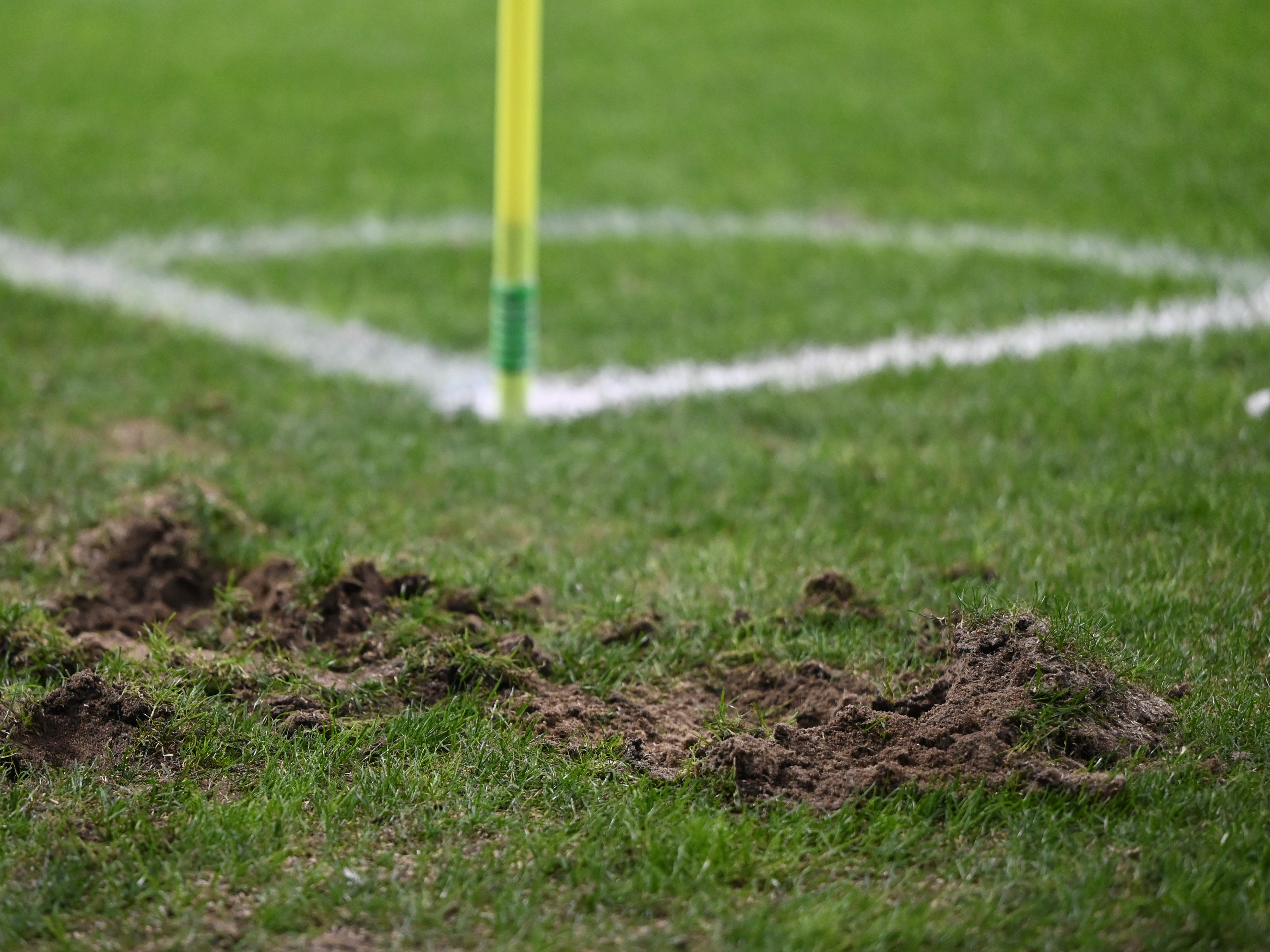 Imagine Stire Stadionul din SuperLiga, invadat de cârtițe, la 5 zile de la ultimul meci | 2review.ro