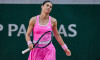 Tennis 2026: ROLAND GARROS - French Open Tennis Grand Slam - Paris: CIRSTEA 6:3 6:0 LYS